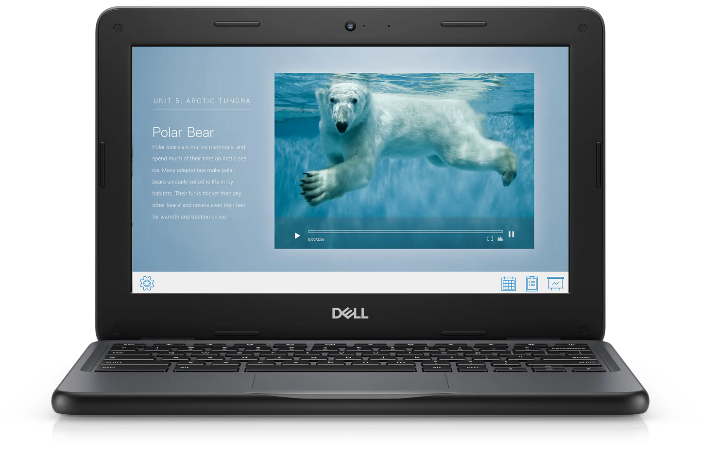 Dell Chrombook 3100 powered by Intel Celeron, 4GB RAM, and 16G Storage