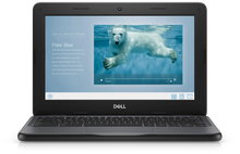 Dell Chrombook 3100 powered by Intel Celeron, 4GB RAM, and 16G Storage